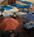 Grand Gateway Hotel from Travelocity.com
