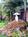 Best Western Palm Garden Inn::Expedia