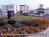 Holiday Inn Express Northeast Fishers::Yahoo! Travel