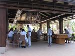 The Cove Atlantis