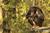 Jackson Zoological Park from Jacksonzoo