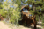 SECLUDED, PET FRIENDLY CABINS NEAR ROCKY MOUNTAIN NATIONAL PARK::PetFriendly.com