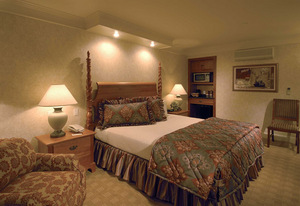 Web-room0-20070424-124730-414