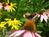 1846 Wildflower Inn::BedAndBreakfast.com