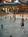 Great Wolf Lodge::TripAdvisor