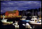 Tn-motif_number_one_640x480