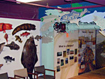 Imaginarium (The)