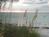 Island's End Resort::TripAdvisor