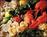 Finz Seafood and Grill Restaurant::CitySearch
