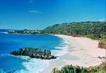 Tn-waimea1