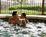 Seralago Hotel And Suites Maingate::Expedia