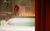 Hotel Zoso from Orbitz