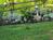 Aska Lodge::TripAdvisor