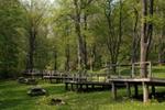 Taconic State Park (Rudd Pond Area)::ReserveAmerica.com