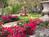 Flowertown B&B::LanierBB.com