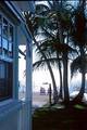 Pines And Palms Resort