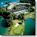 Renaissance PineIsle Resort::Yahoo! Travel