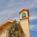 La Quinta Inn Denver Cherry Creek::Orbitz