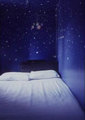 Tn-nyc_star-rooms-3