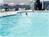 Holiday Inn St. Louis Forest Park::Orbitz