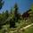 Cliffrose Lodge And Gardens from Priceline.com