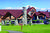 Talkeetna Alaskan Lodge::Anchorage.net