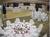 Holiday Inn Select & Convention Center - Tinley Park::Orbitz