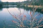 Wompatuck State Park