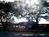 Whaler's Village Hot Nights::Yahoo! Travel