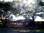 Whaler's Village Hot Nights
