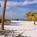 Tropical Shores Beach Resort - Siesta Key from Priceline.com