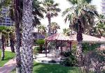 Radisson Resort South Padre Island