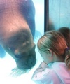 Indianapolis Zoo