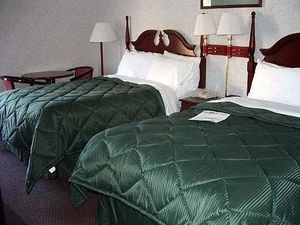 Comfort Inn Archdale::Travelocity.com