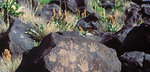 Petroglyph National Monument