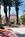 Embassy Suites Hotel�� Napa Valley-Wine Country::ProfessionalTravelGuide.com