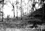 Tn-8ca00003_cayson