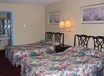 Red Carpet Inn Piqua