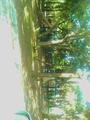 Reed Canal Park