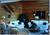 Alaska Ocean View B B::Expedia