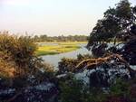 Hampton Inn Beaufort