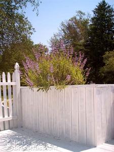 The Grandfield Bed&Breakfast::BedAndBreakfast.com