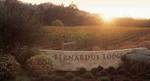 Bernardus Lodge