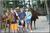 Saco / Old Orchard Beach KOA::ReserveAmerica.com