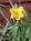 Trinidad Bay Bed and Breakfast::BedAndBreakfast.com