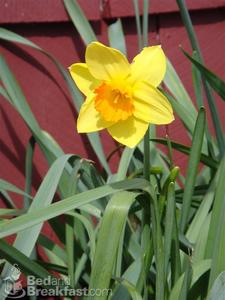 Trinidad Bay Bed and Breakfast::BedAndBreakfast.com