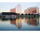 Flamingo Laughlin