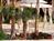 Atrium Hotel At Orange Co Arpt::Expedia