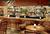 Sheraton Park Ridge Hotel::Orbitz