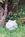 Bamboo Orchid Cottage Bed & Breakfast::BedAndBreakfast.com